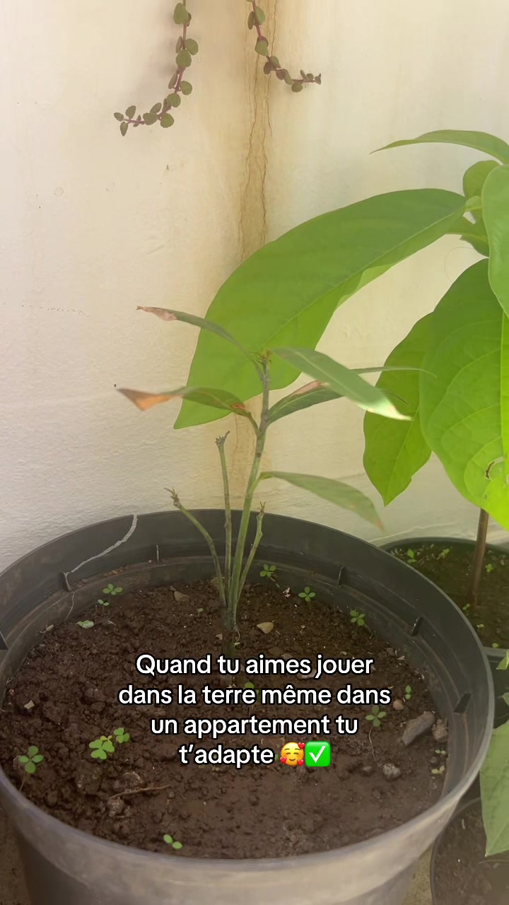 @Parlons peu parlons bien😎