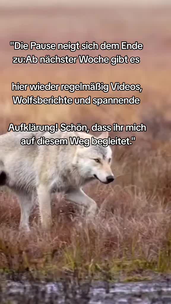 @Schutz für Wolf und Weide 🇦🇹