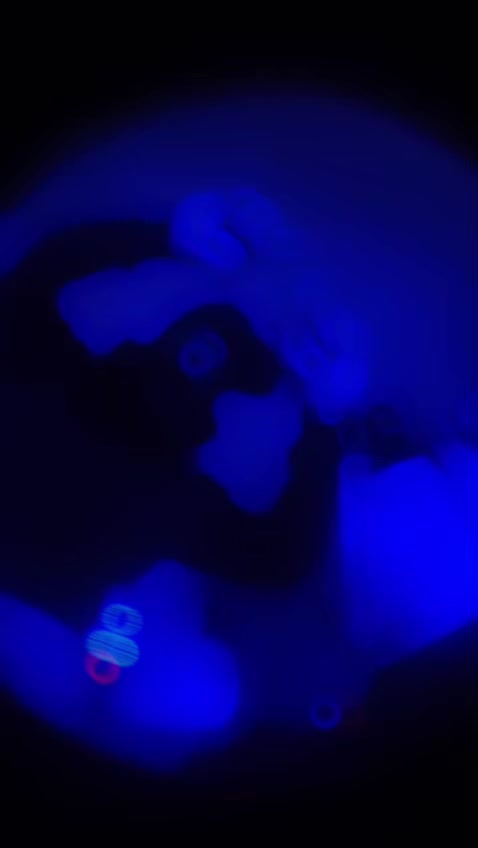 @T.E.N.Z.Z.0