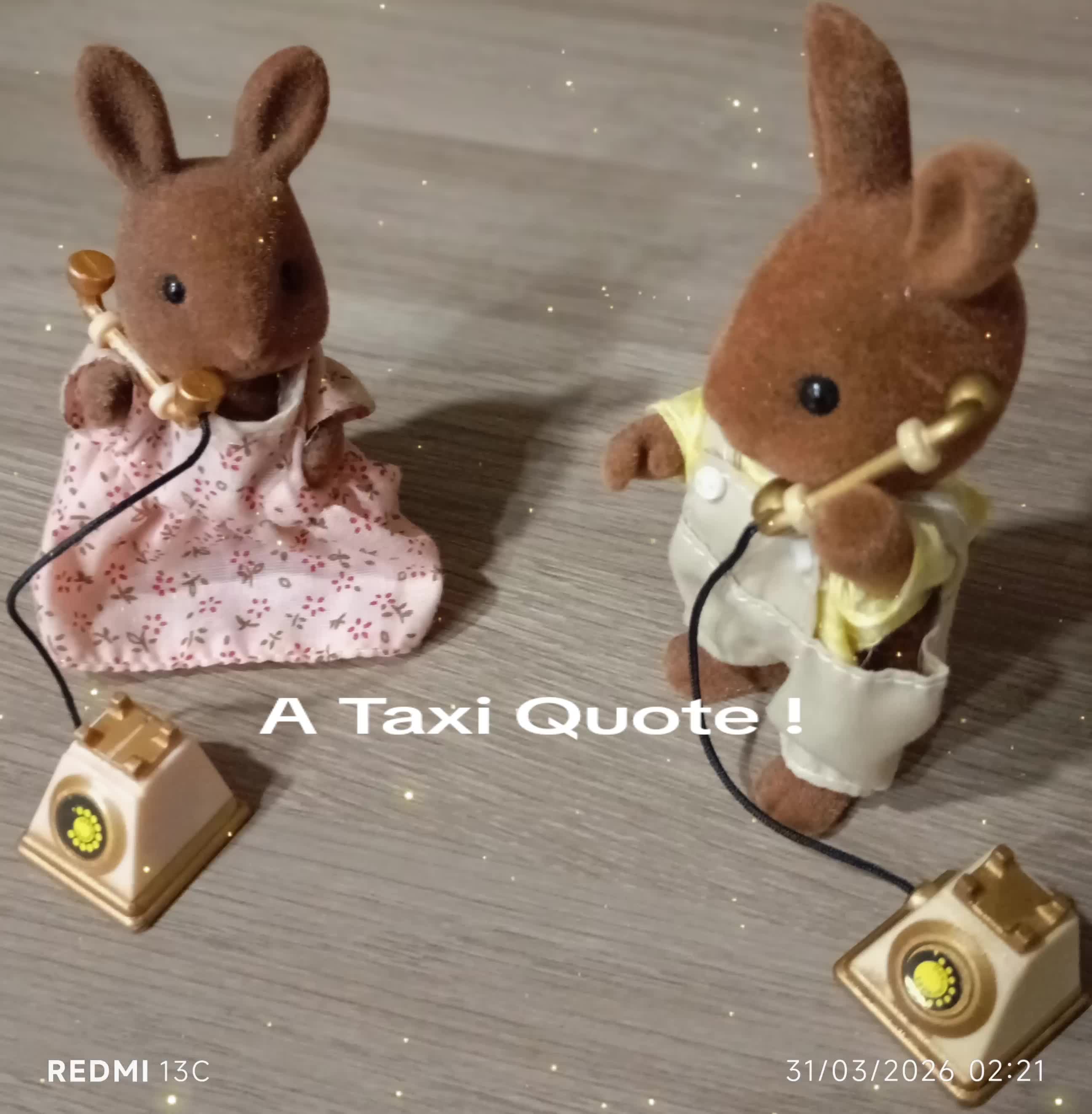 @Not-Just-Sylvanian-IOW ❤️