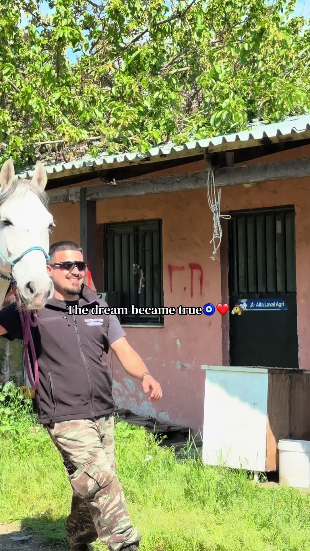 @Tatsiou🐎