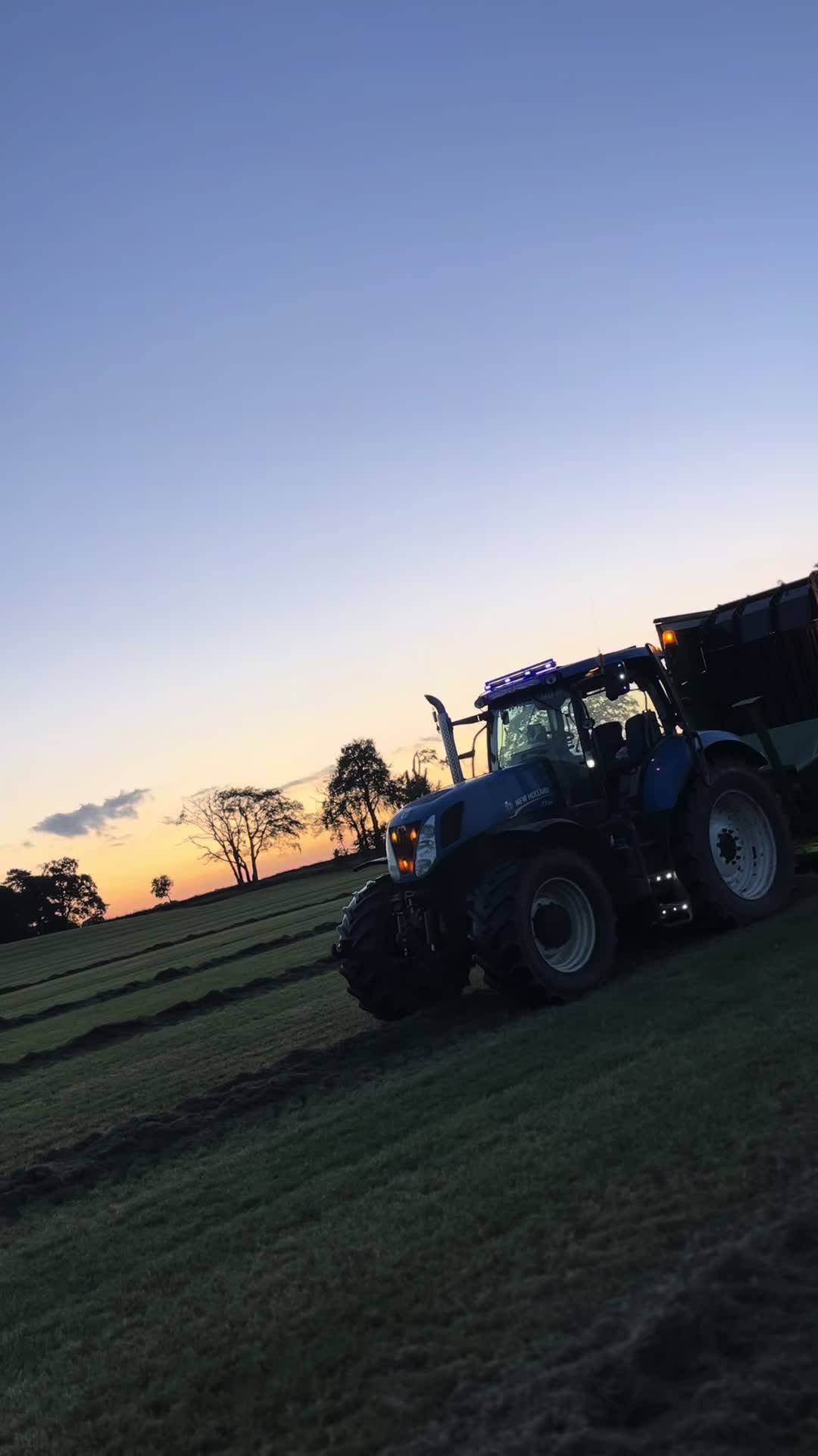 @Piggy🌾🚜