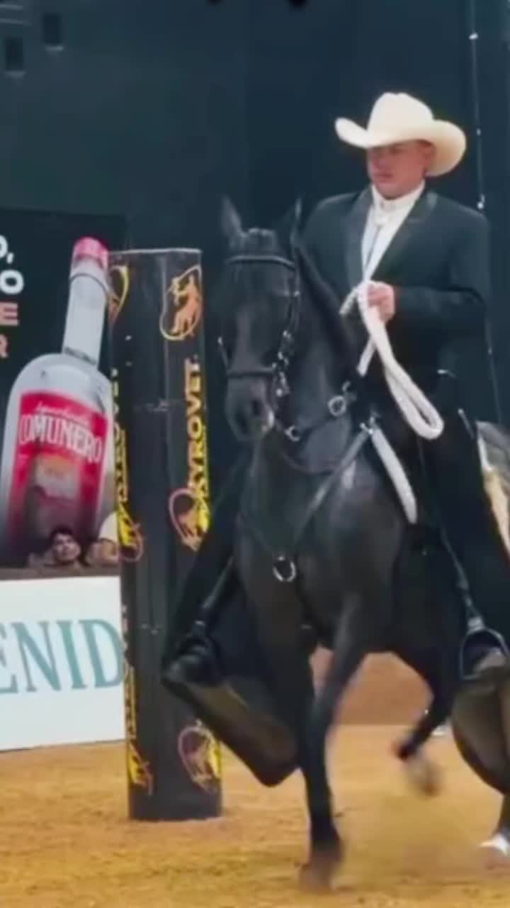 @Caballostrochadores