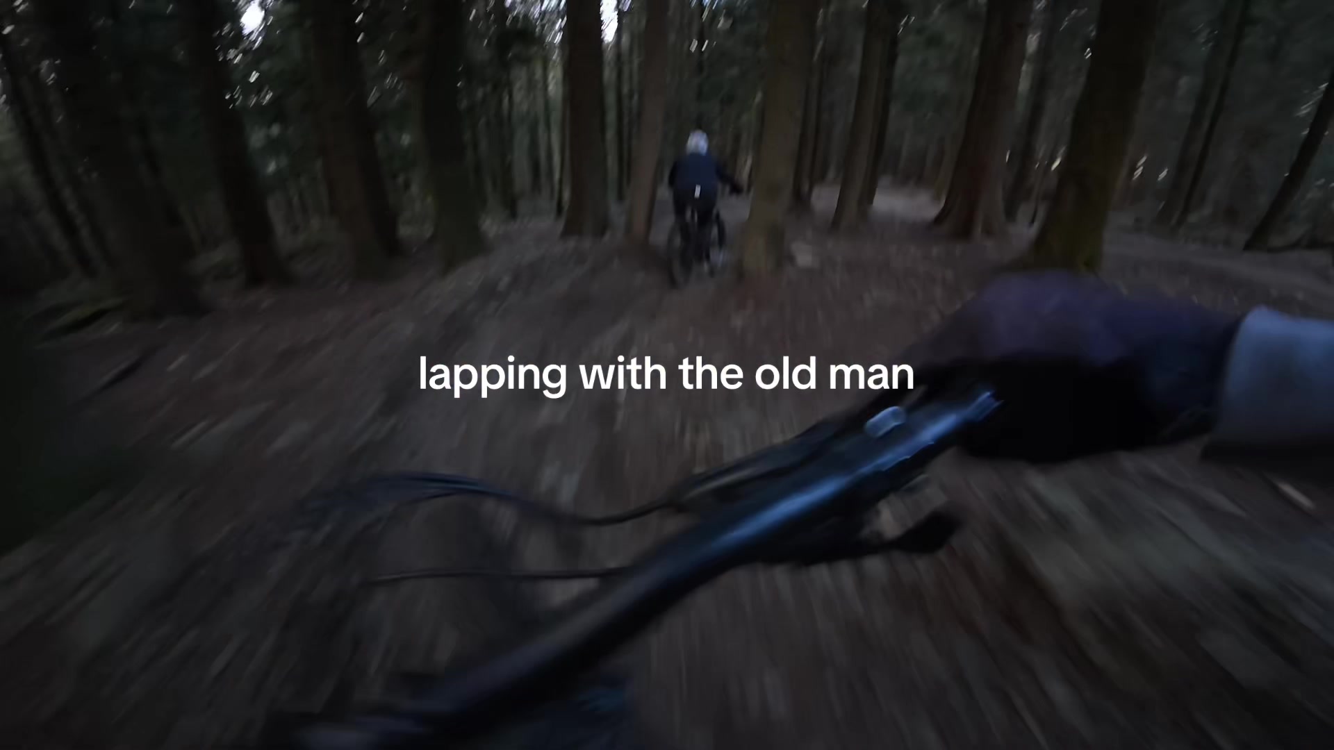 @tobyy🌲