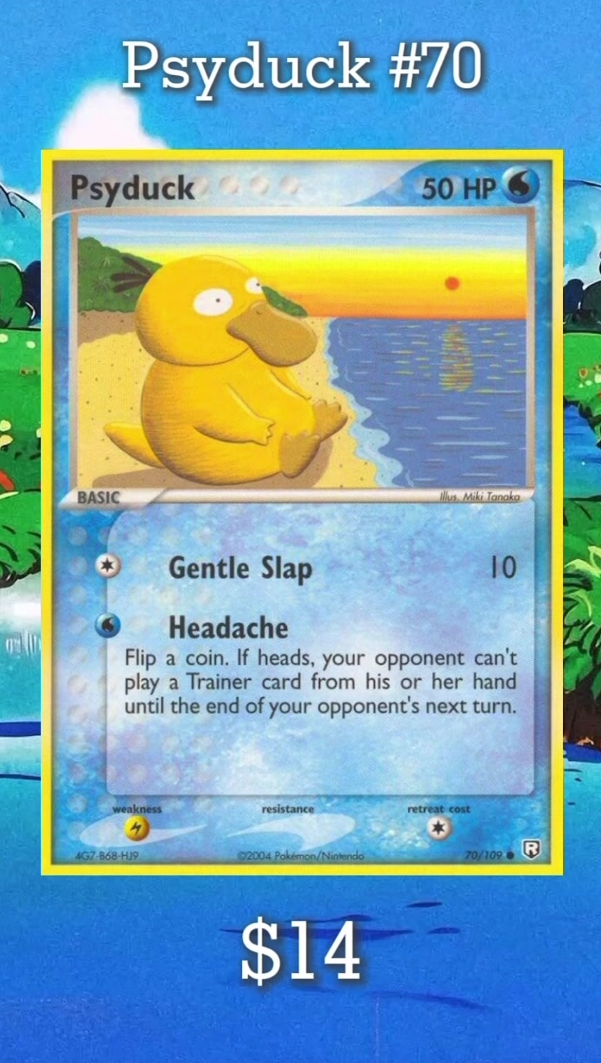 @THE BAYSIDE TIGER
