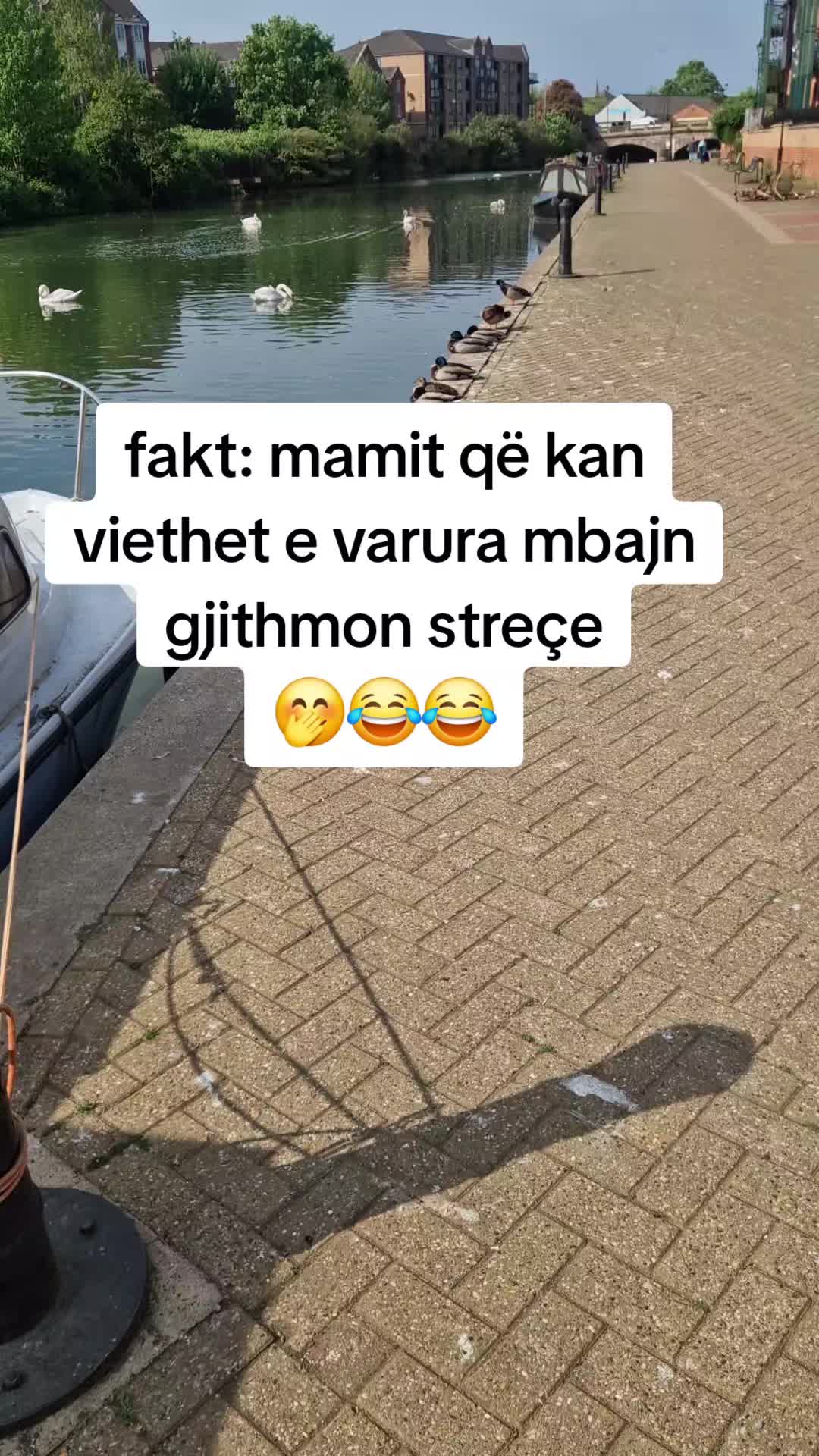 @te pash ne fier