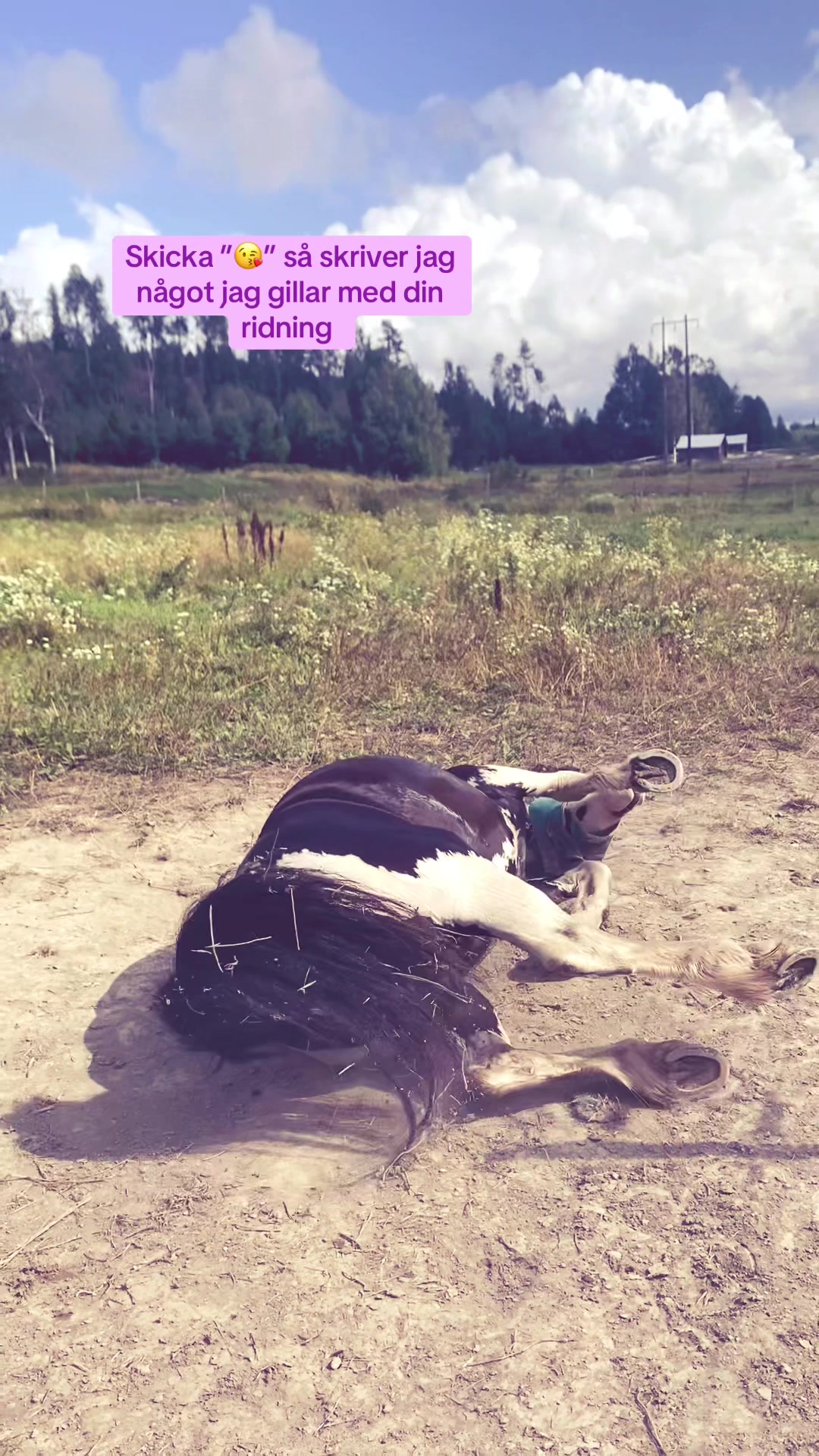 @kerstin🐴