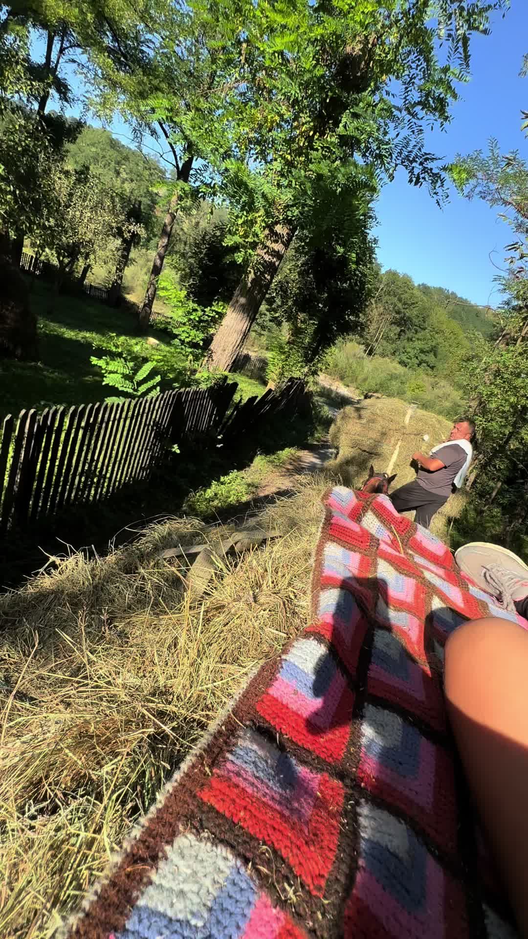 @Lupu Elena-Leonida