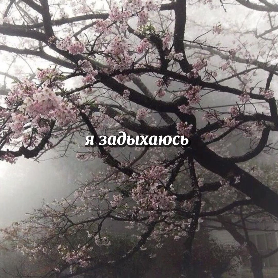 @alingwx