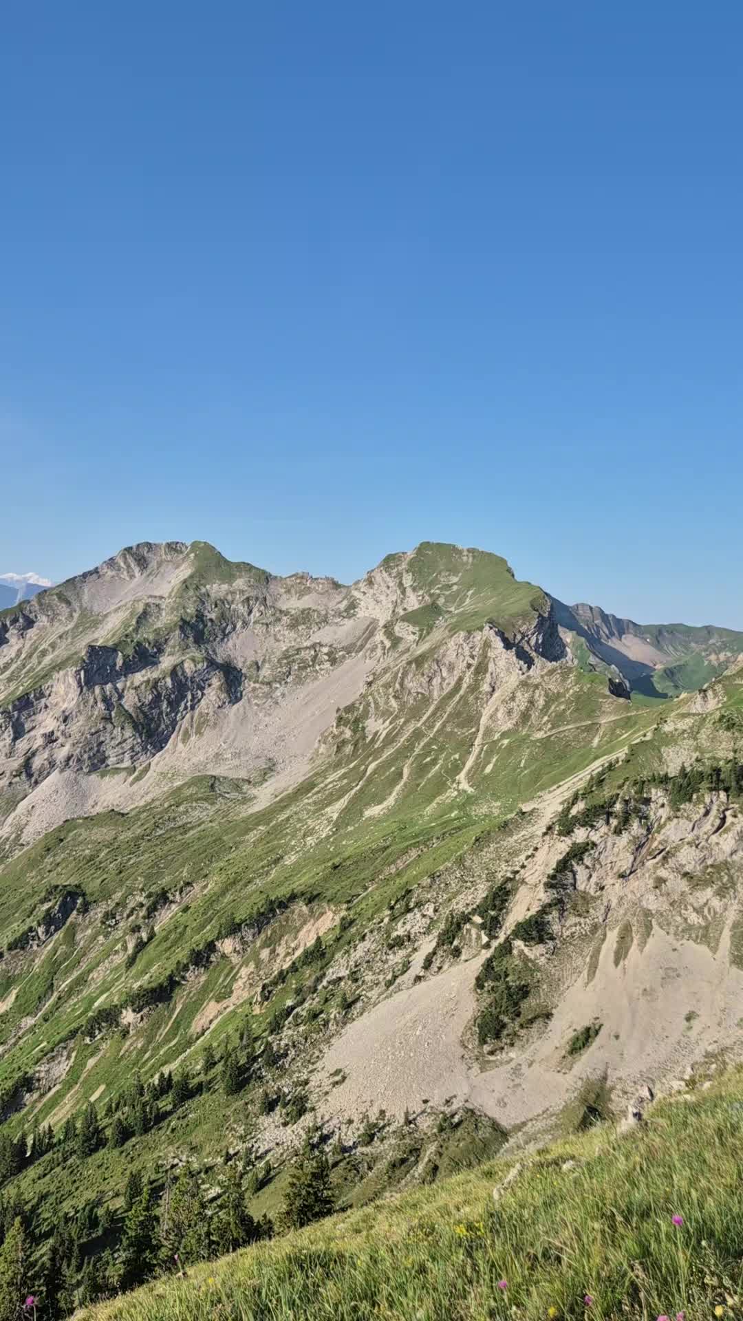 @Benä Schmid