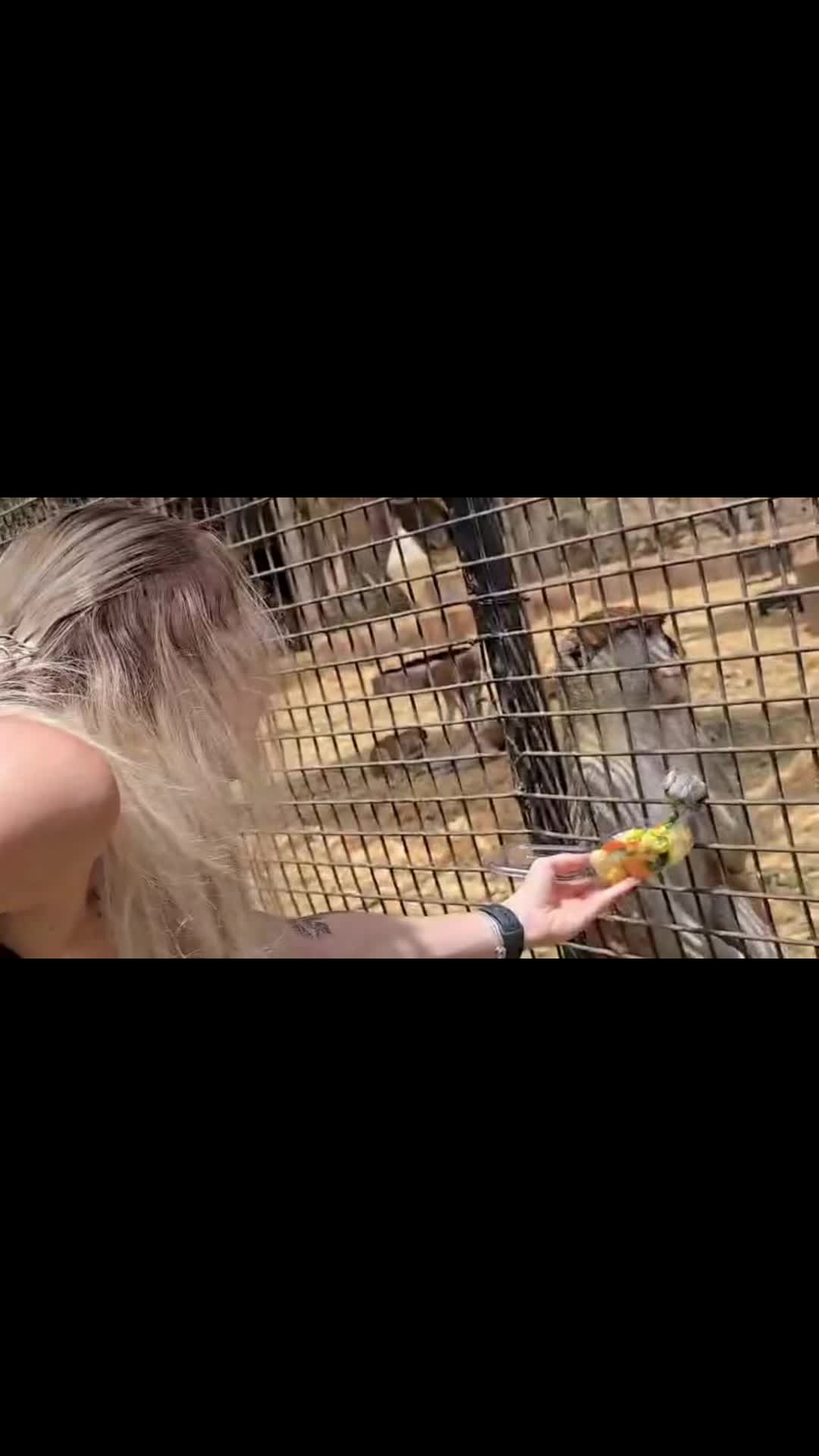 @Niki