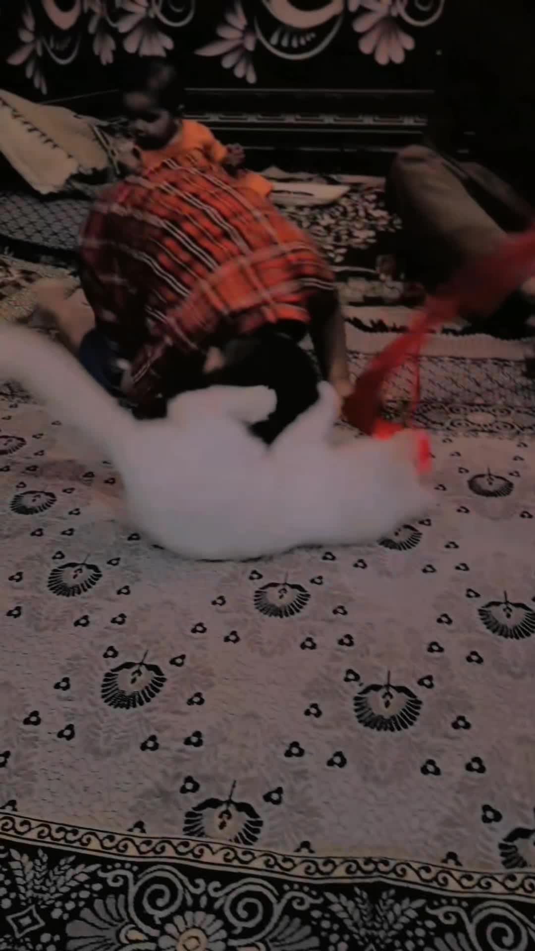 @&Auml;ŕh&auml;m Ŕ&atilde;Jp&ograve;&ouml;ť😈😈