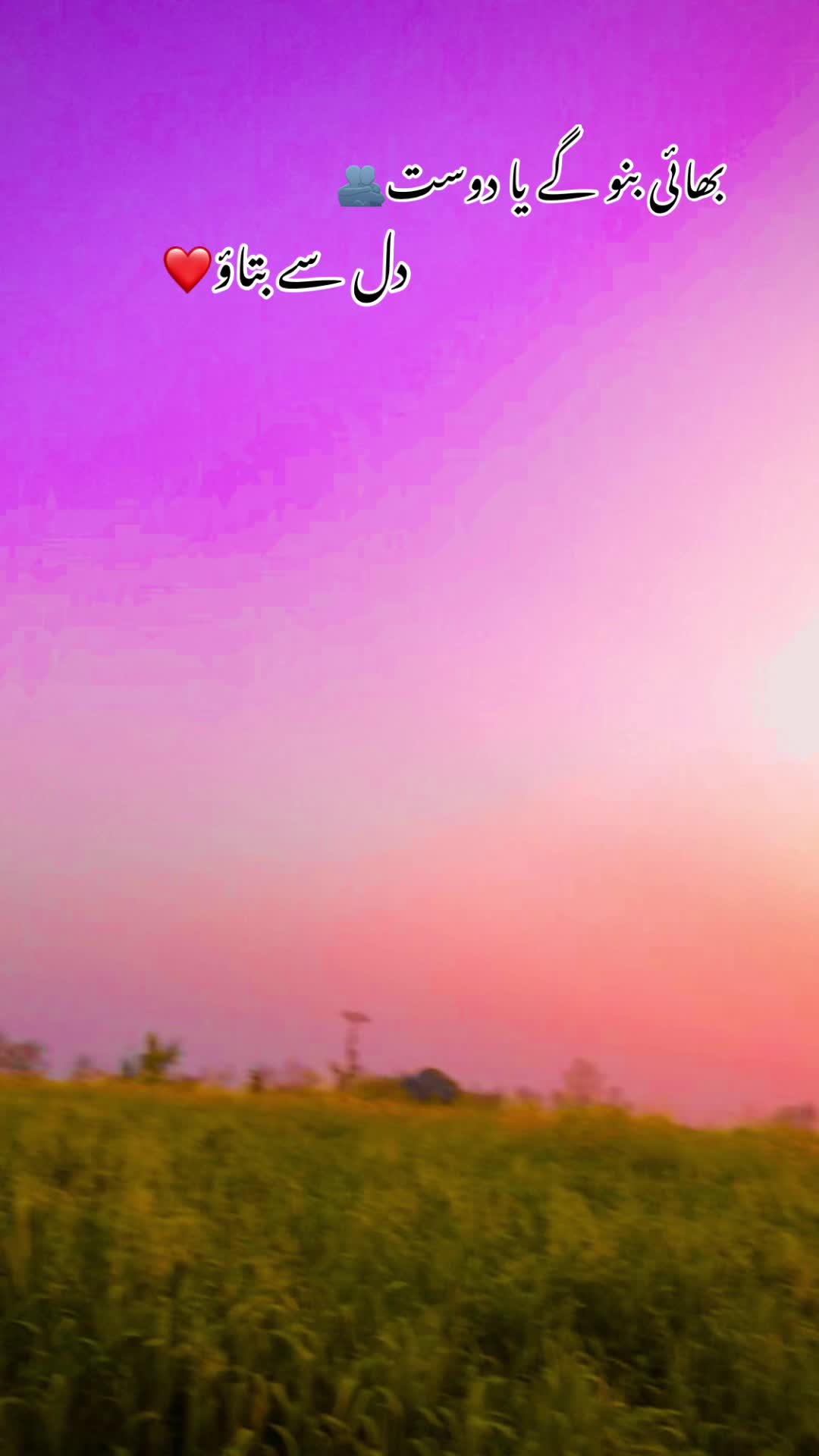 @🌾🌱پنجابی کلچر 🌾🌱