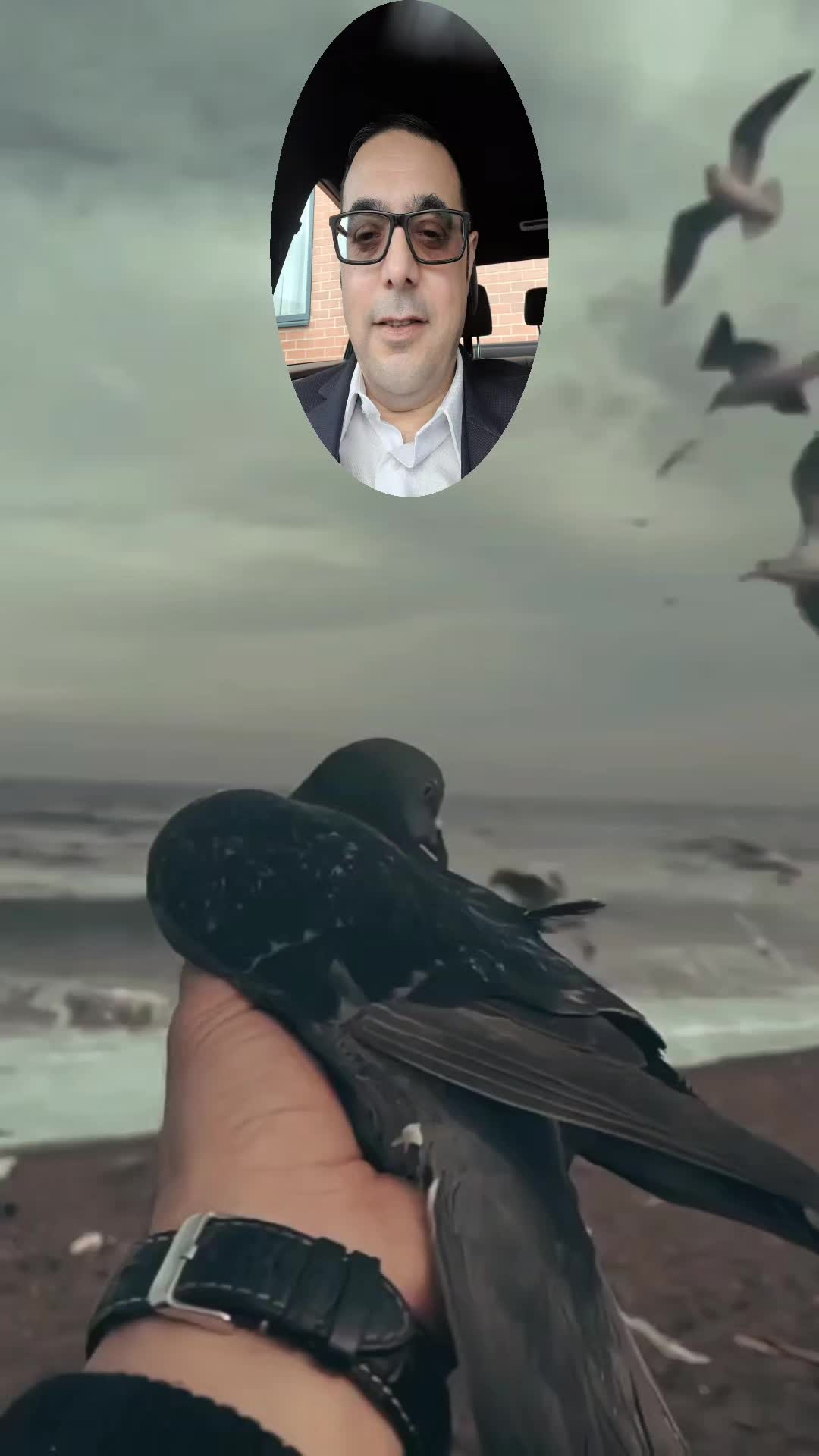 @qamz