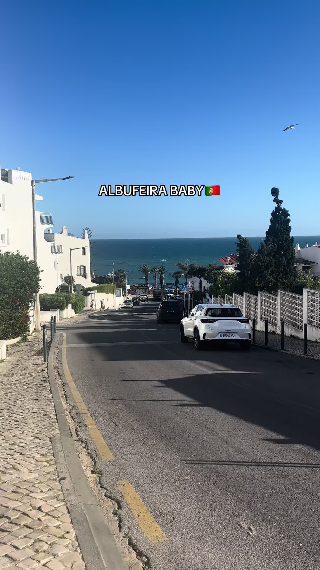 @Rosie Angelina Samuel🩷🇵🇹