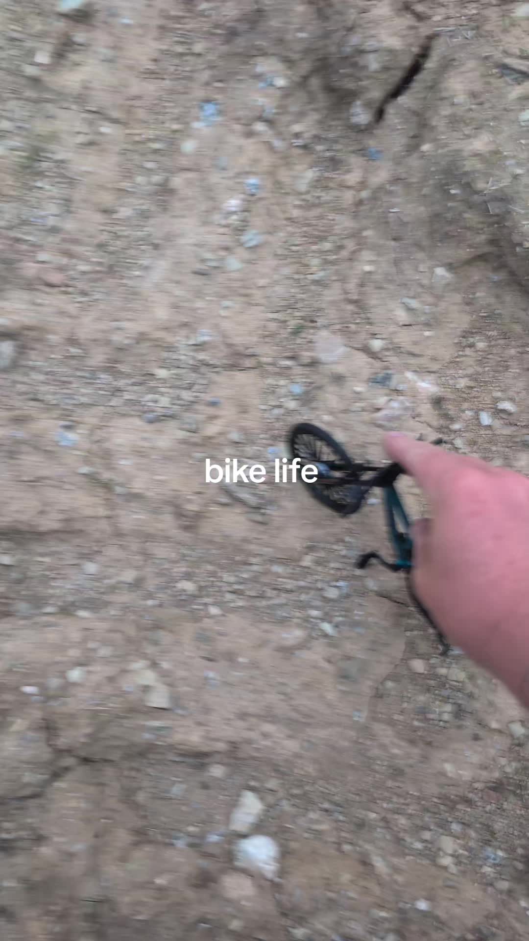 @vanlife