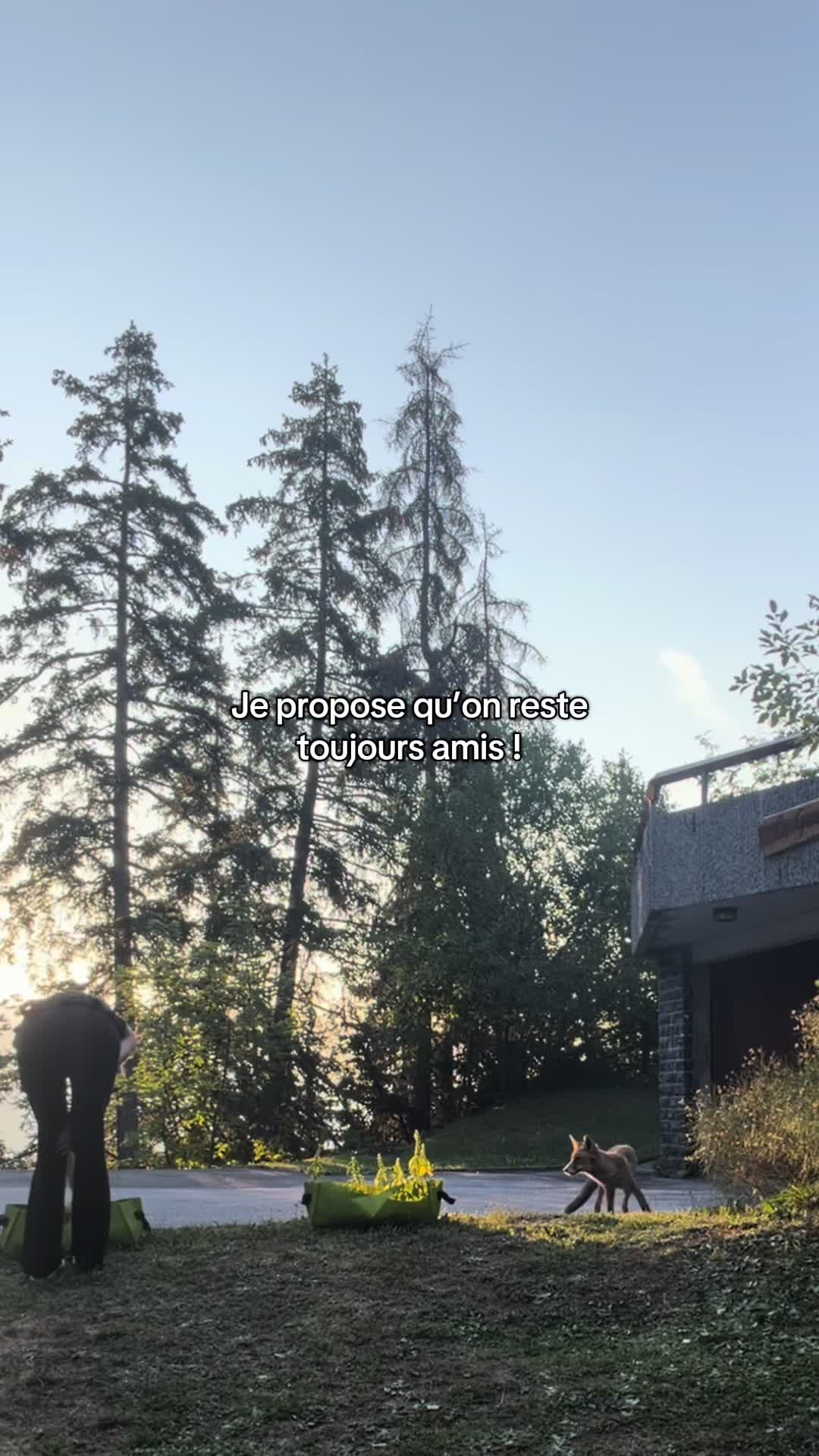@ChezClacla🦊🇨🇭