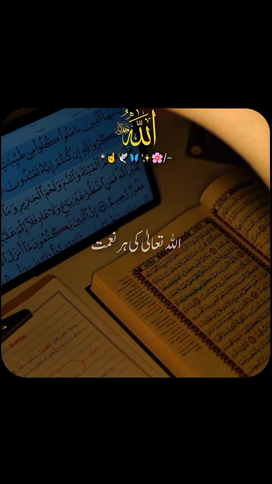 @✨dilawar edits✨