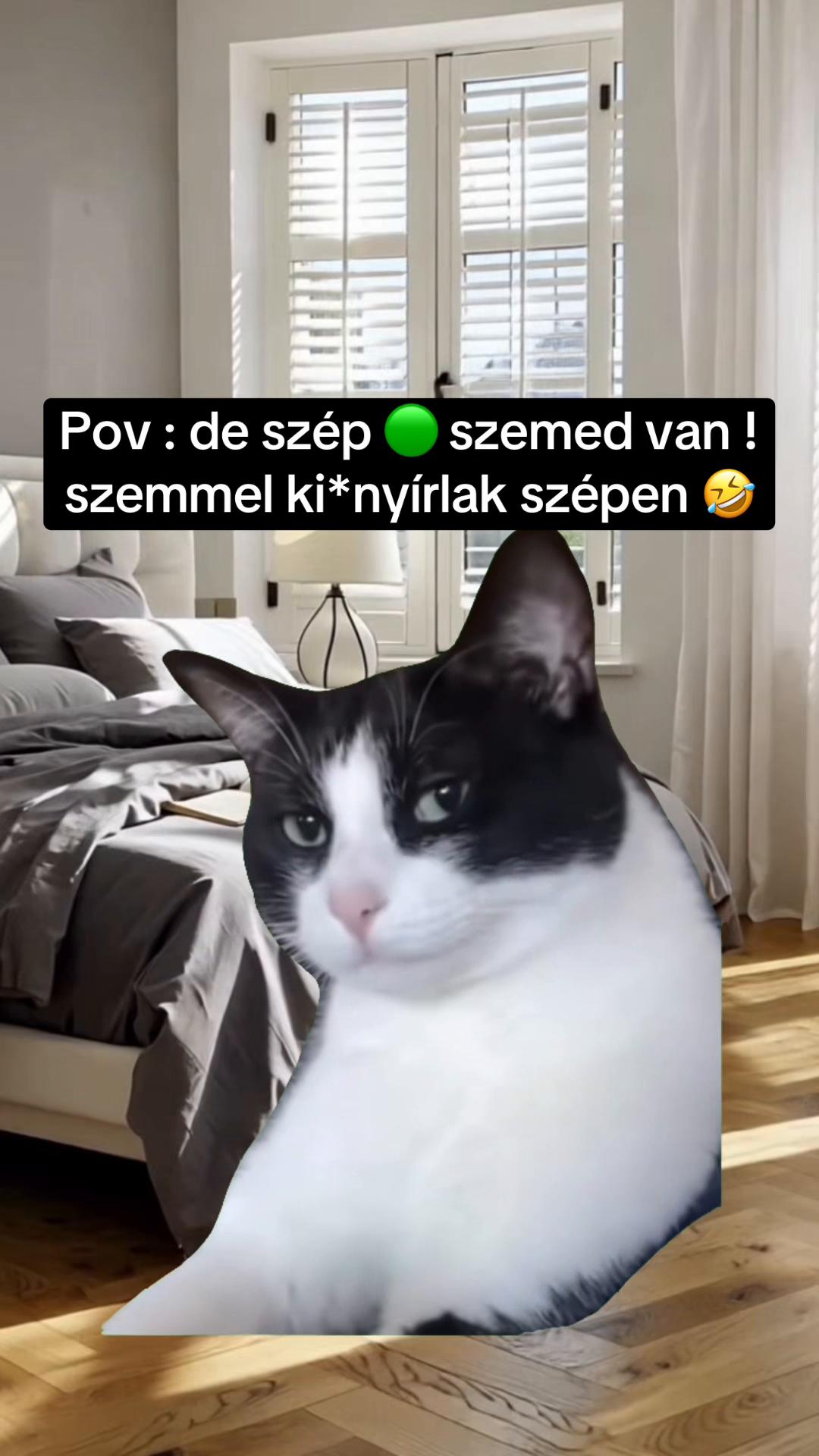 @Nem harap 🅰️ néni 🪷