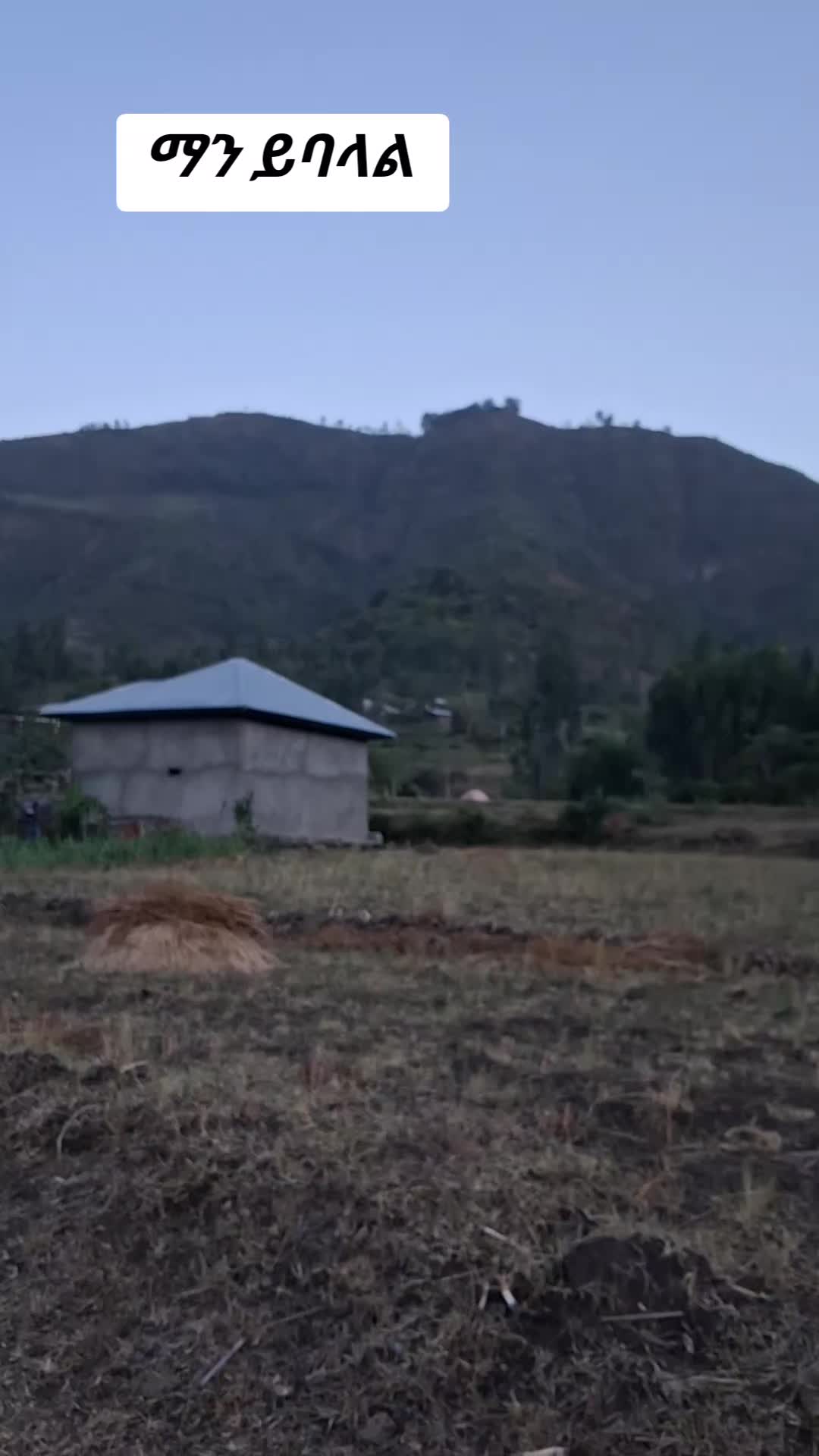 @ሰኢድ ሀበሽ