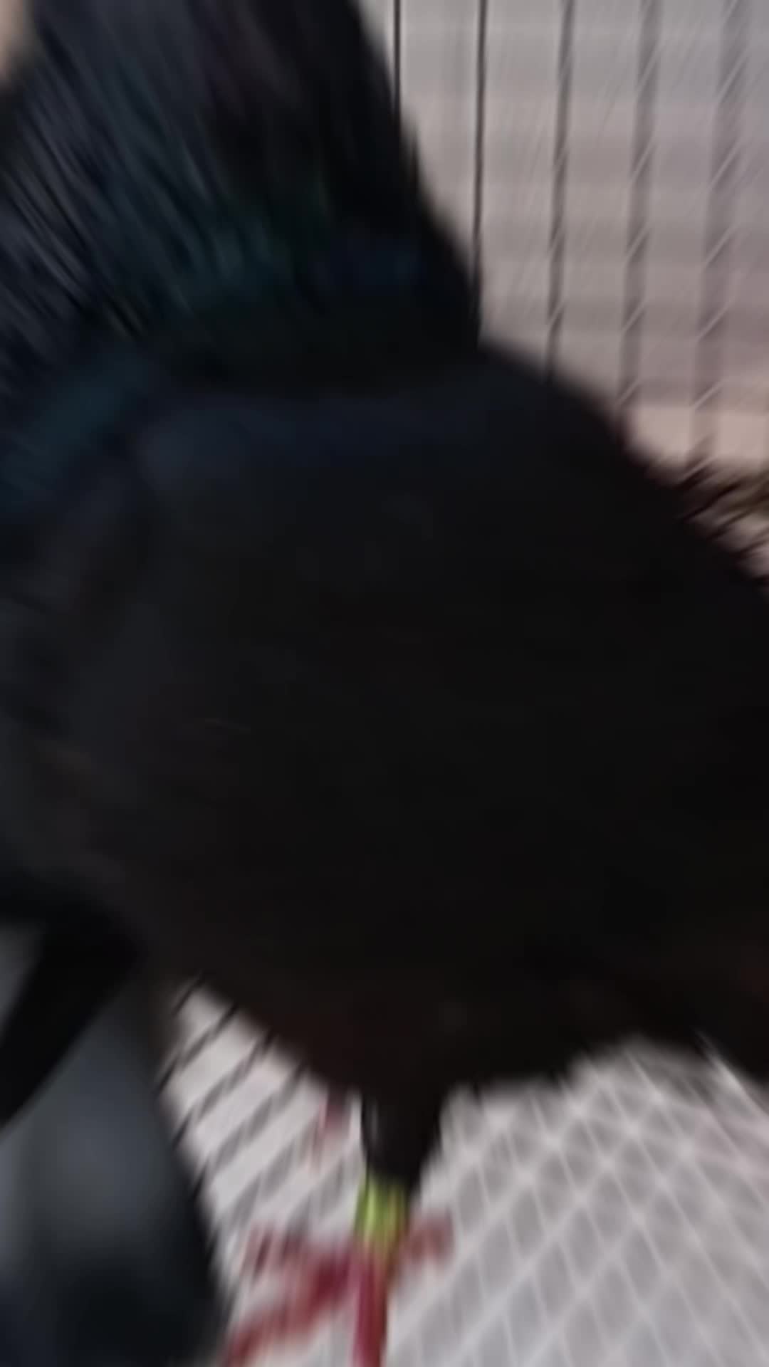 @azarlaudino