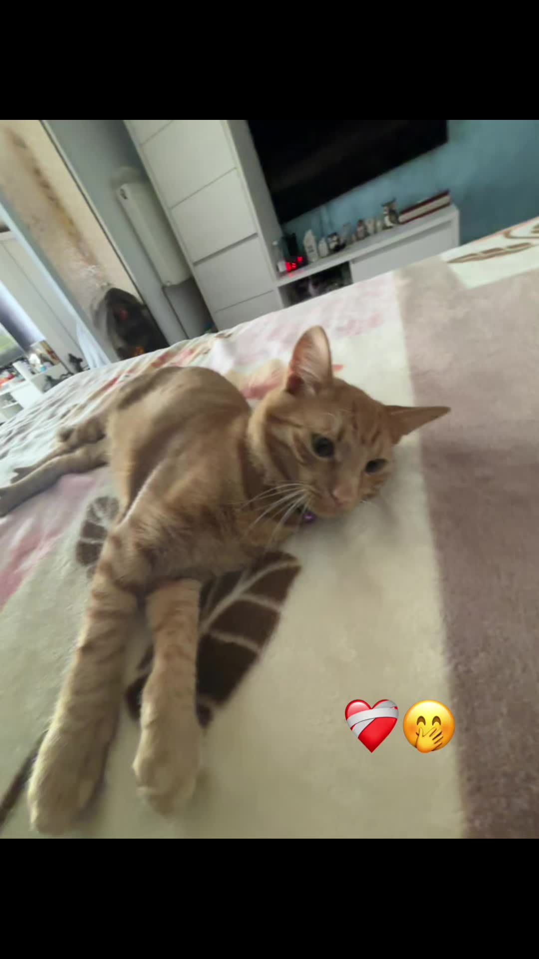 @Dariutzaaaaaaaaaaaaa❤️