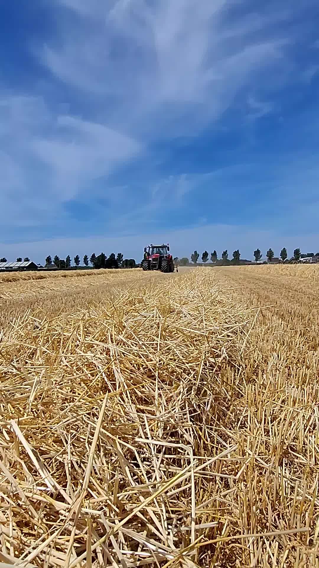 @schapenfokkerij l.kammeraad