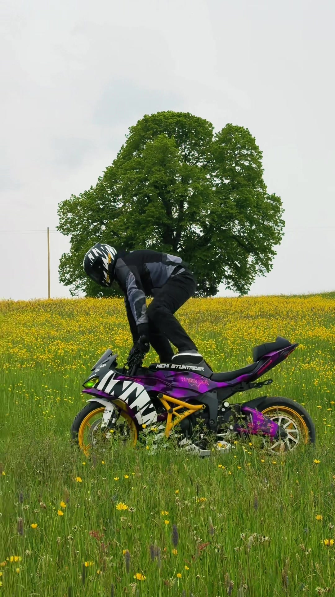 @Michi_stuntrider