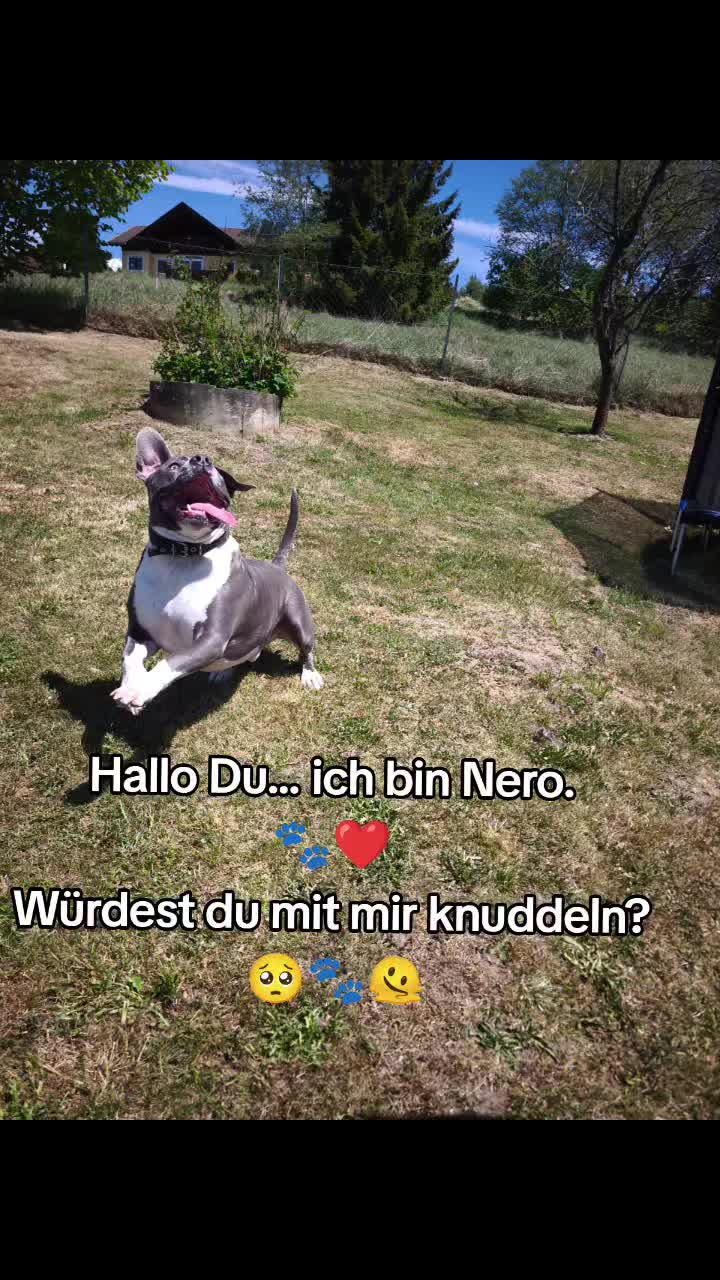 @Kampfschmusser_Nero🖤