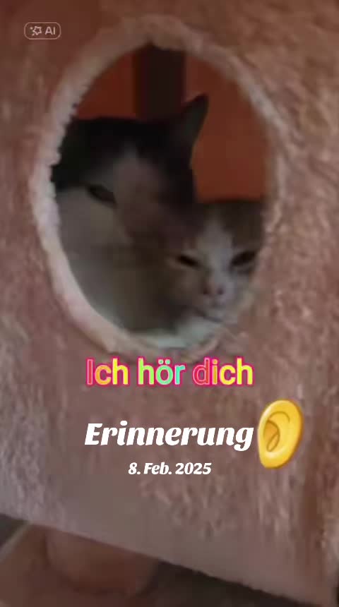 @Lina_lpz52