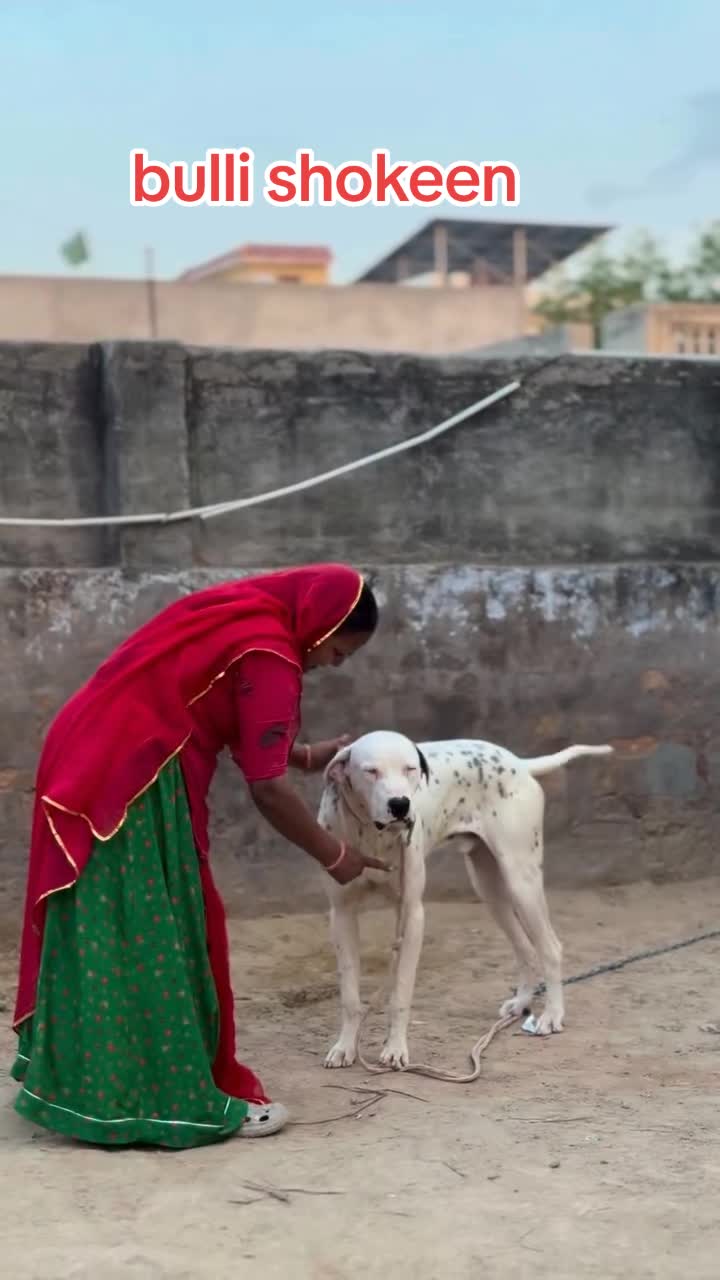 @bullishokeen2