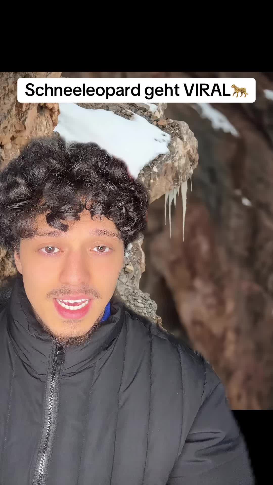 @Yellog