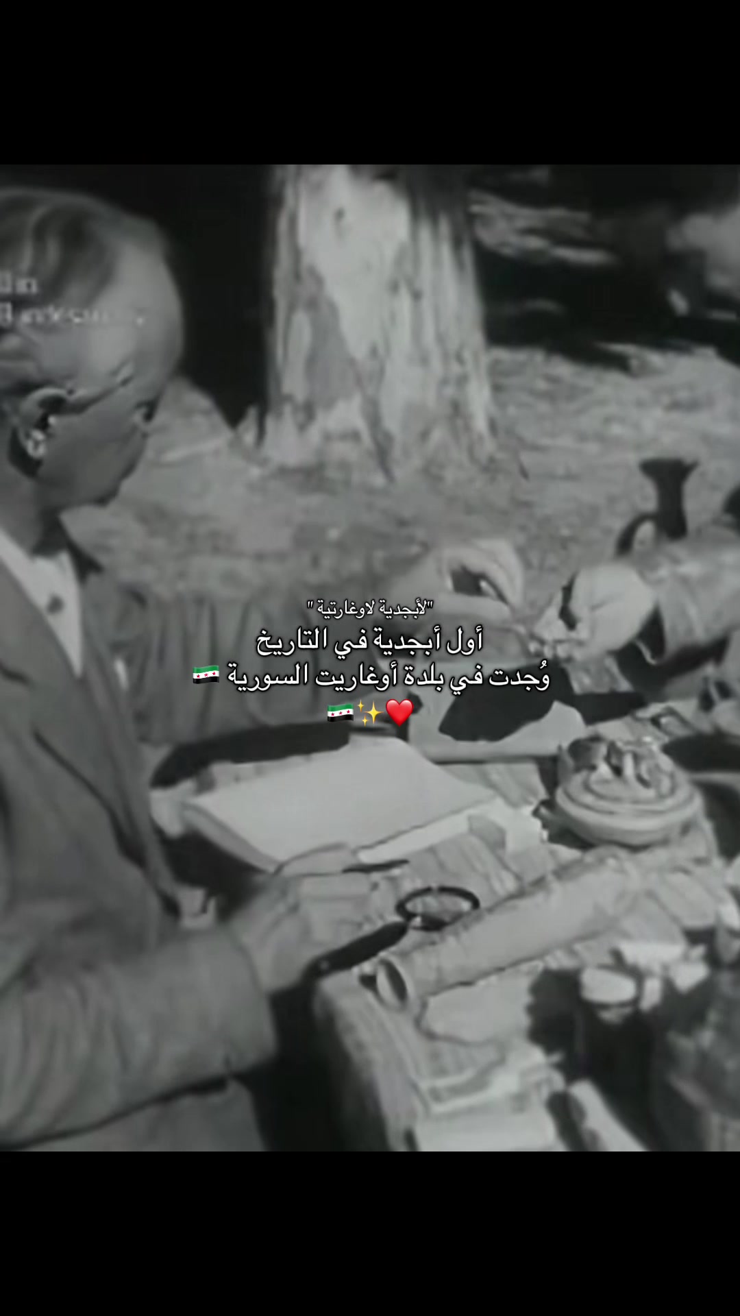 @𝒮𝒶𝓇𝒶🇸🇾