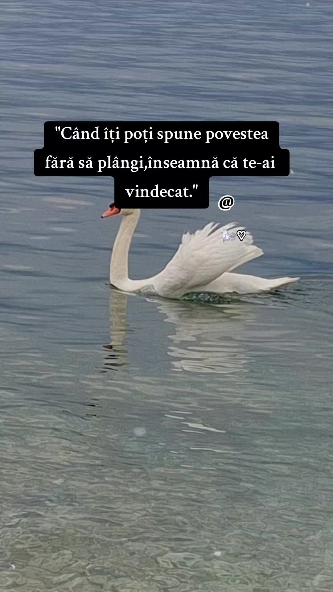 @Adeli