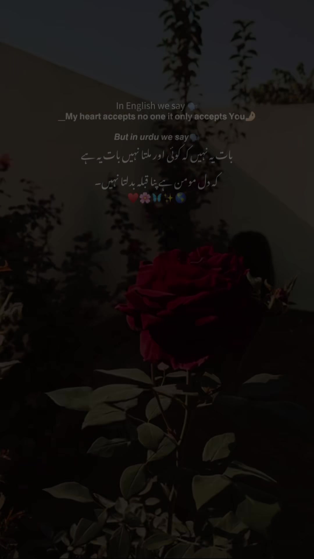@بکھرے خواب🍂