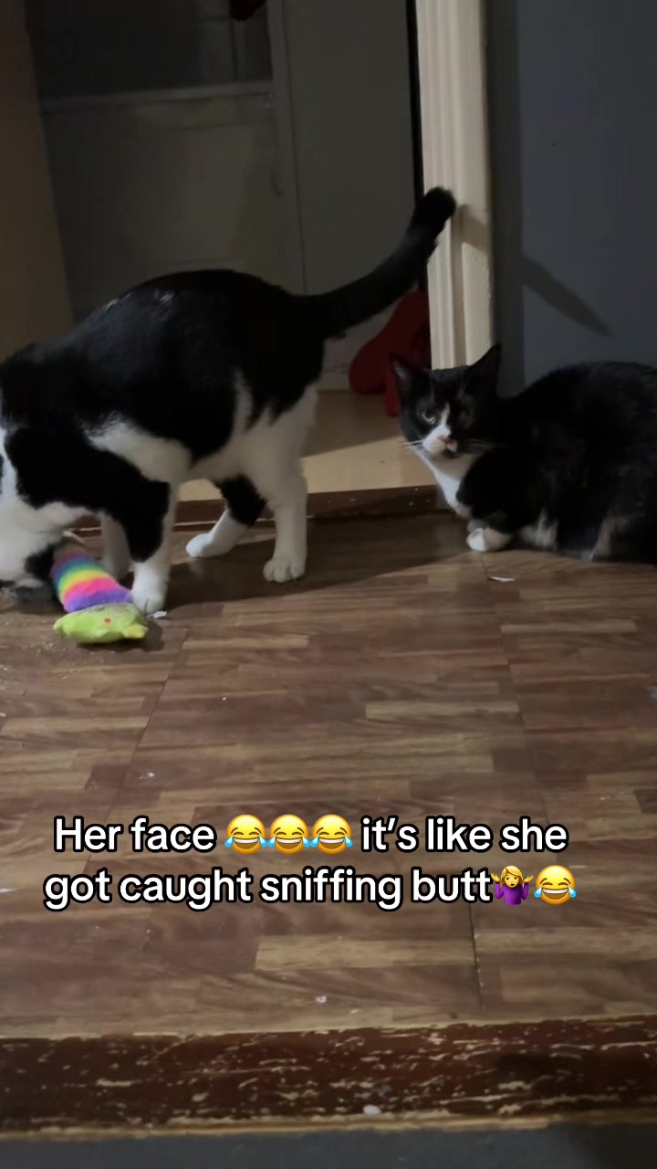@Paigeyy