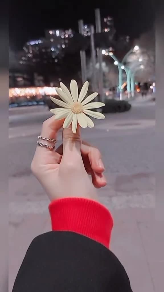 @چ٘ـٌـَـٕــٓڑیِـٓــًــٕــّل
