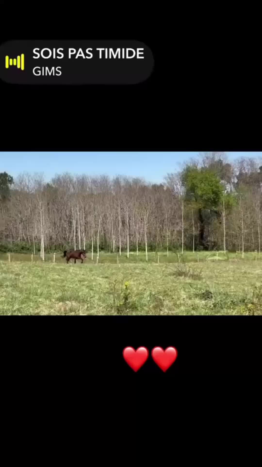 @justine_dlp47