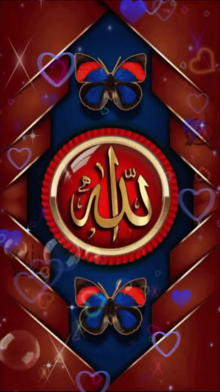 @🌹👑 AZIZKHAN MUSAKHEL👑🌹