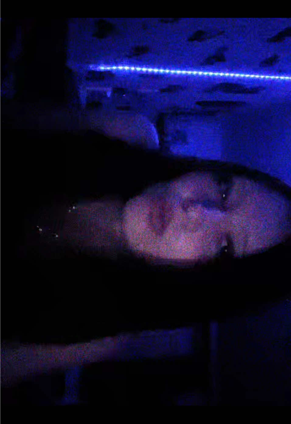 @✞ 𝔗𝔢𝔯𝔲𝔫𝔨𝔞 ✞