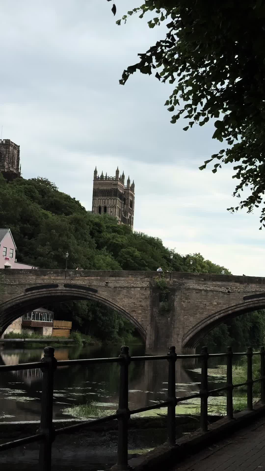 @Pardesi🦋🇬🇧