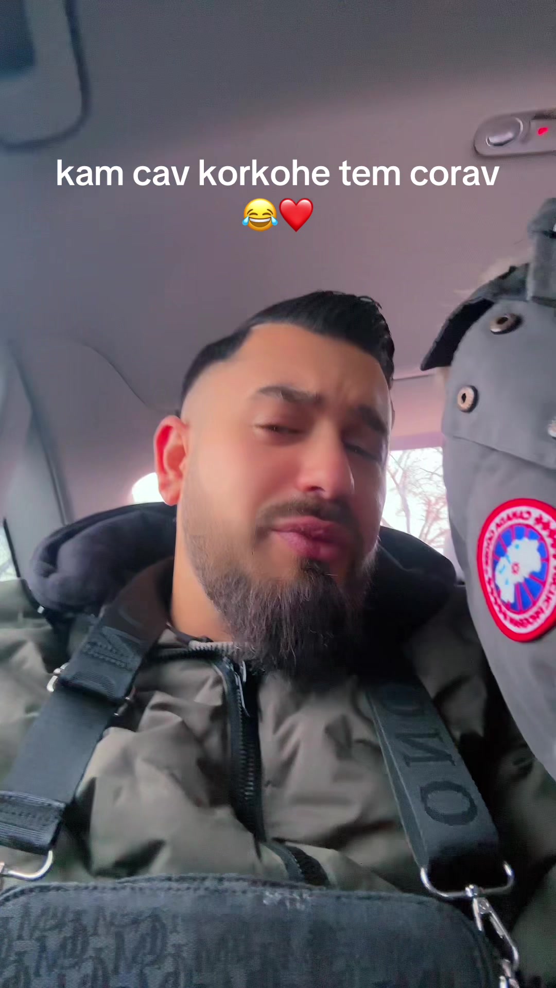 @denis kralj beganovic