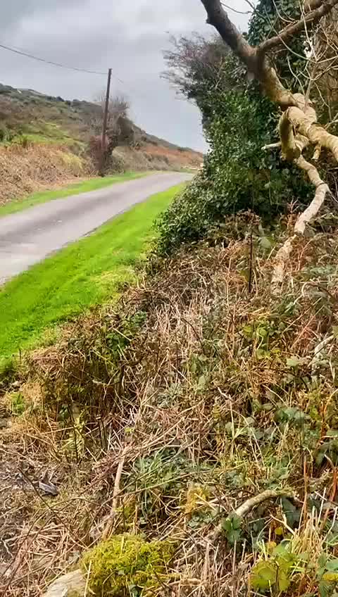 @Se&aacute;n Whelton 🚨 🚜 🌽