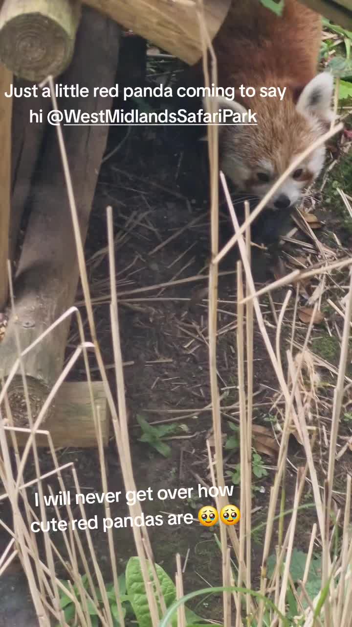 @Amber's Animal Adventures