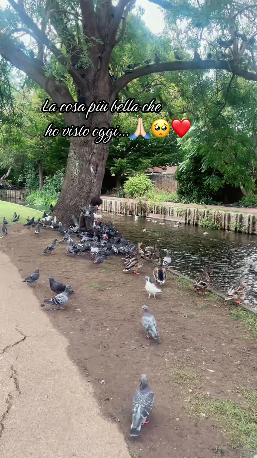 @funiculi_funicula'