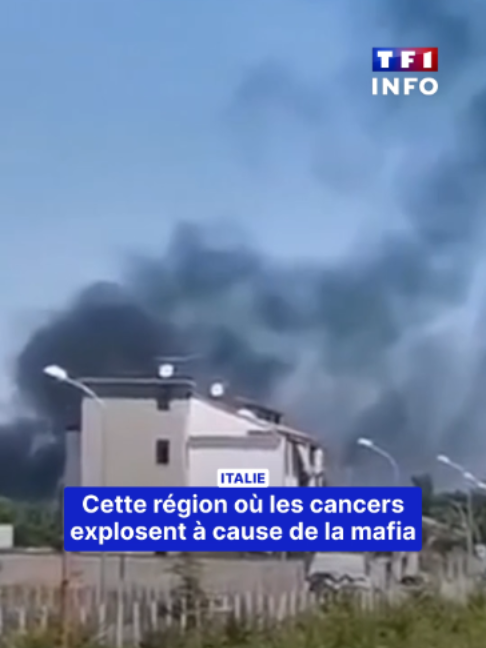 @TF1 INFO