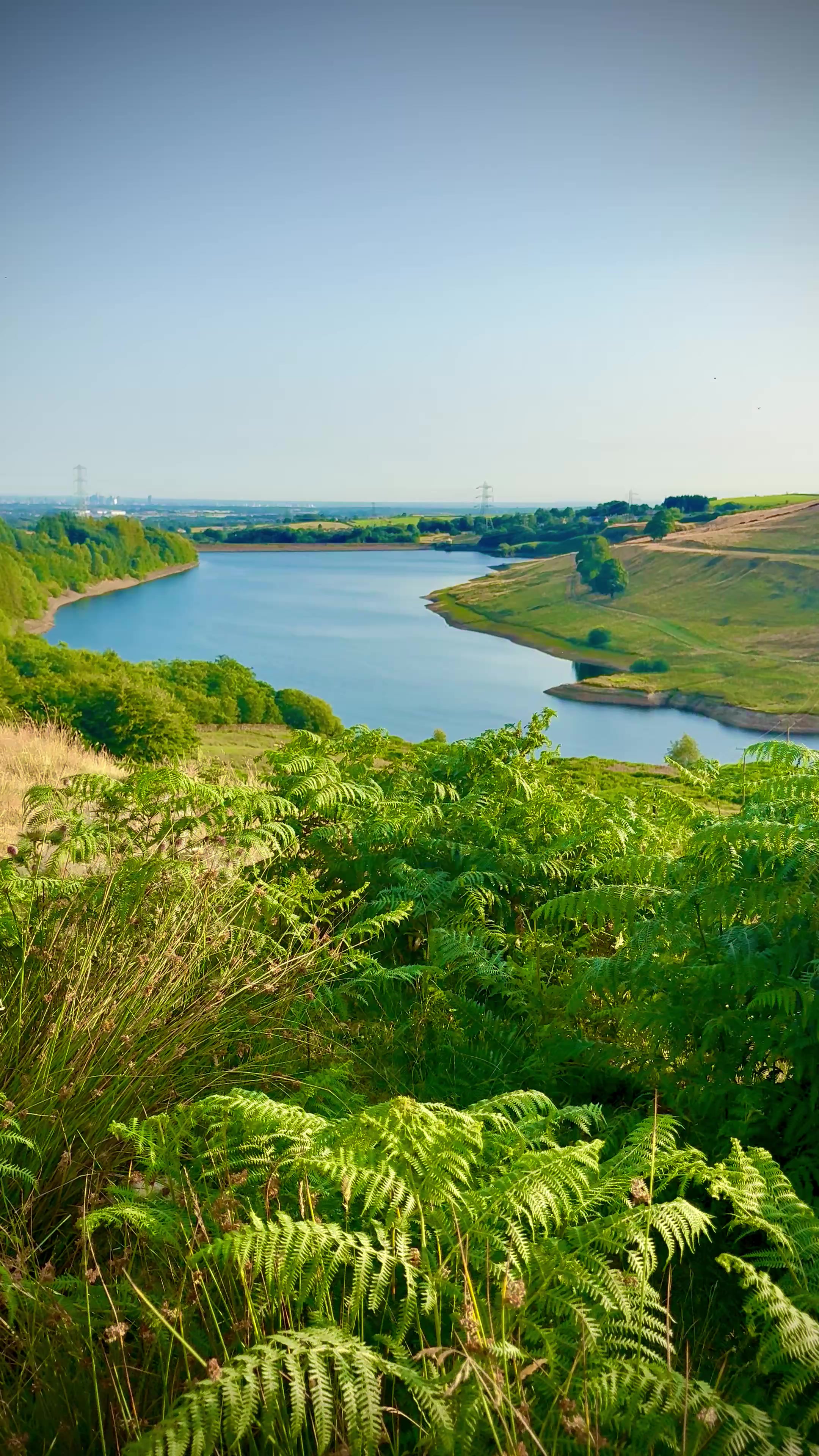 @Nature lover