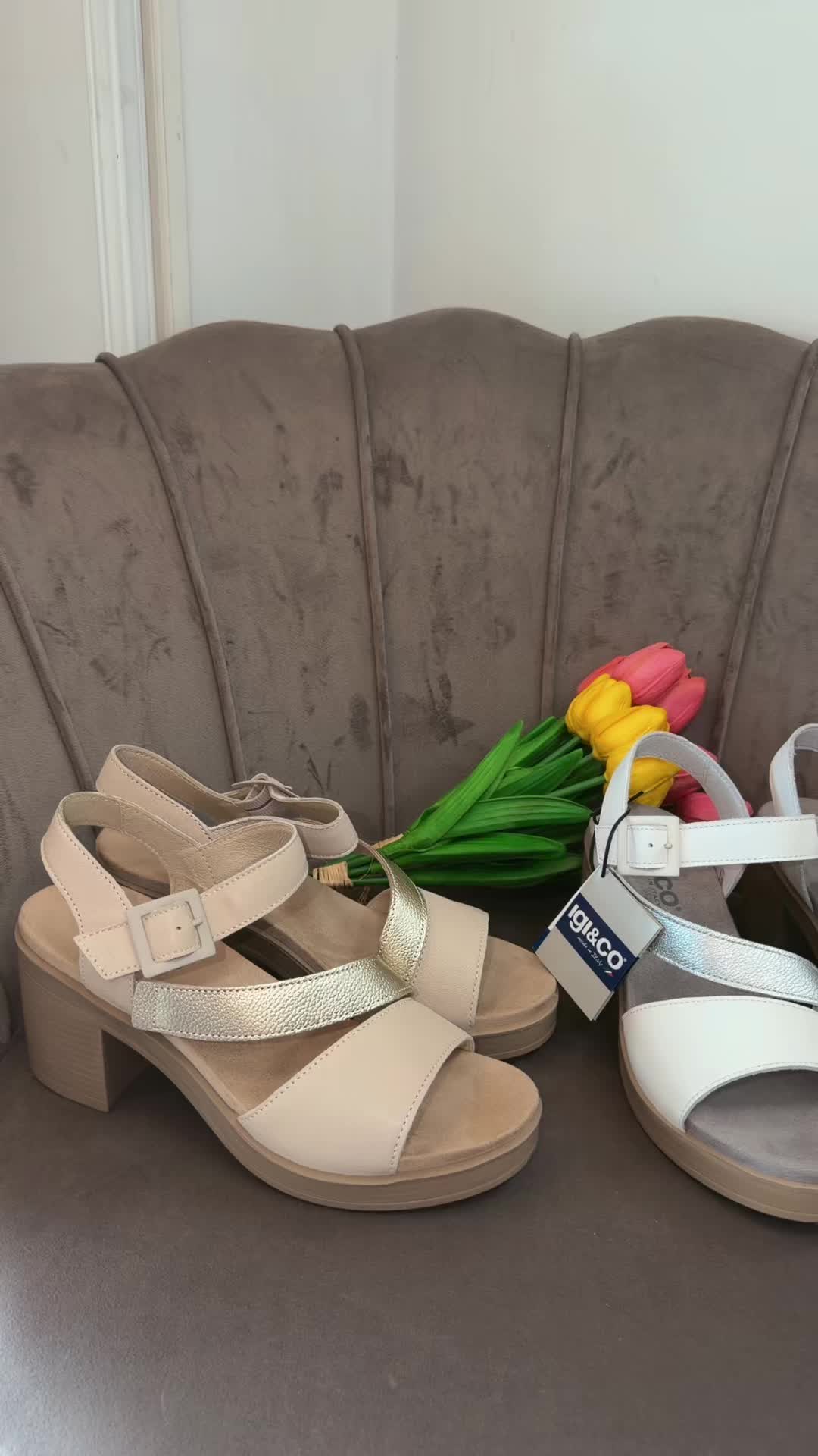 @La Gatta Shoes