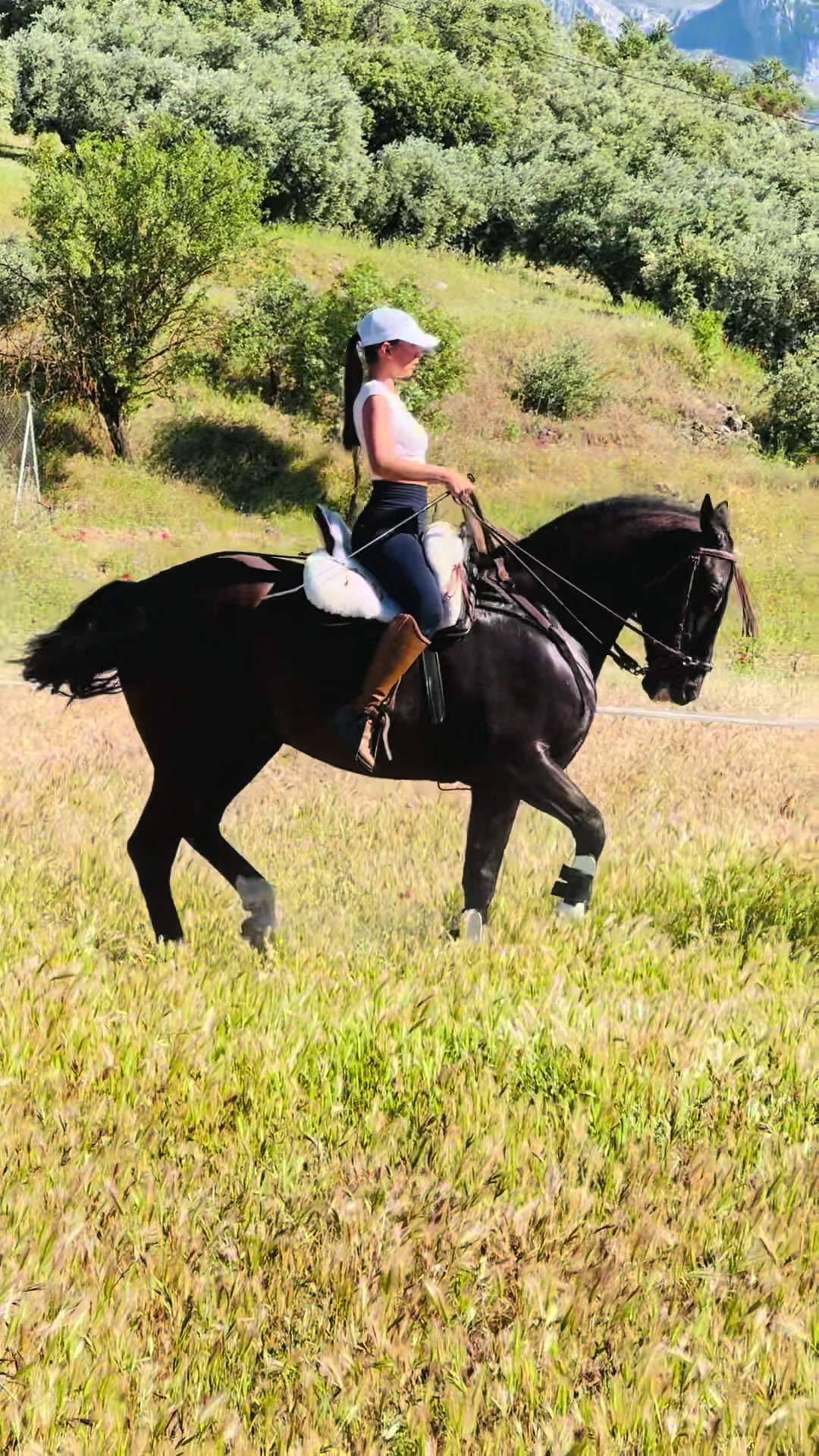 @Sandra Molina🐎🇪🇸