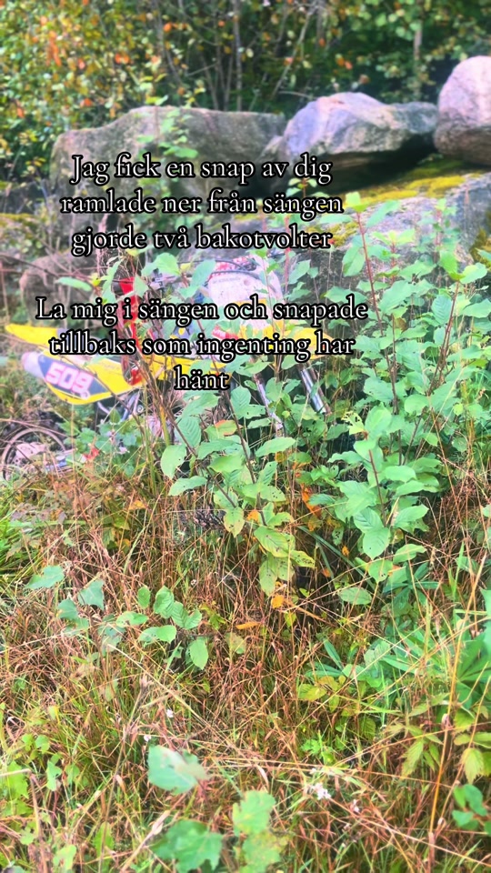 @🪖ℛℴℴ𝓈 🪖
